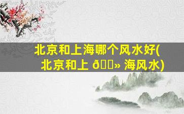 北京和上海哪个风水好(北京和上 🌻 海风水)